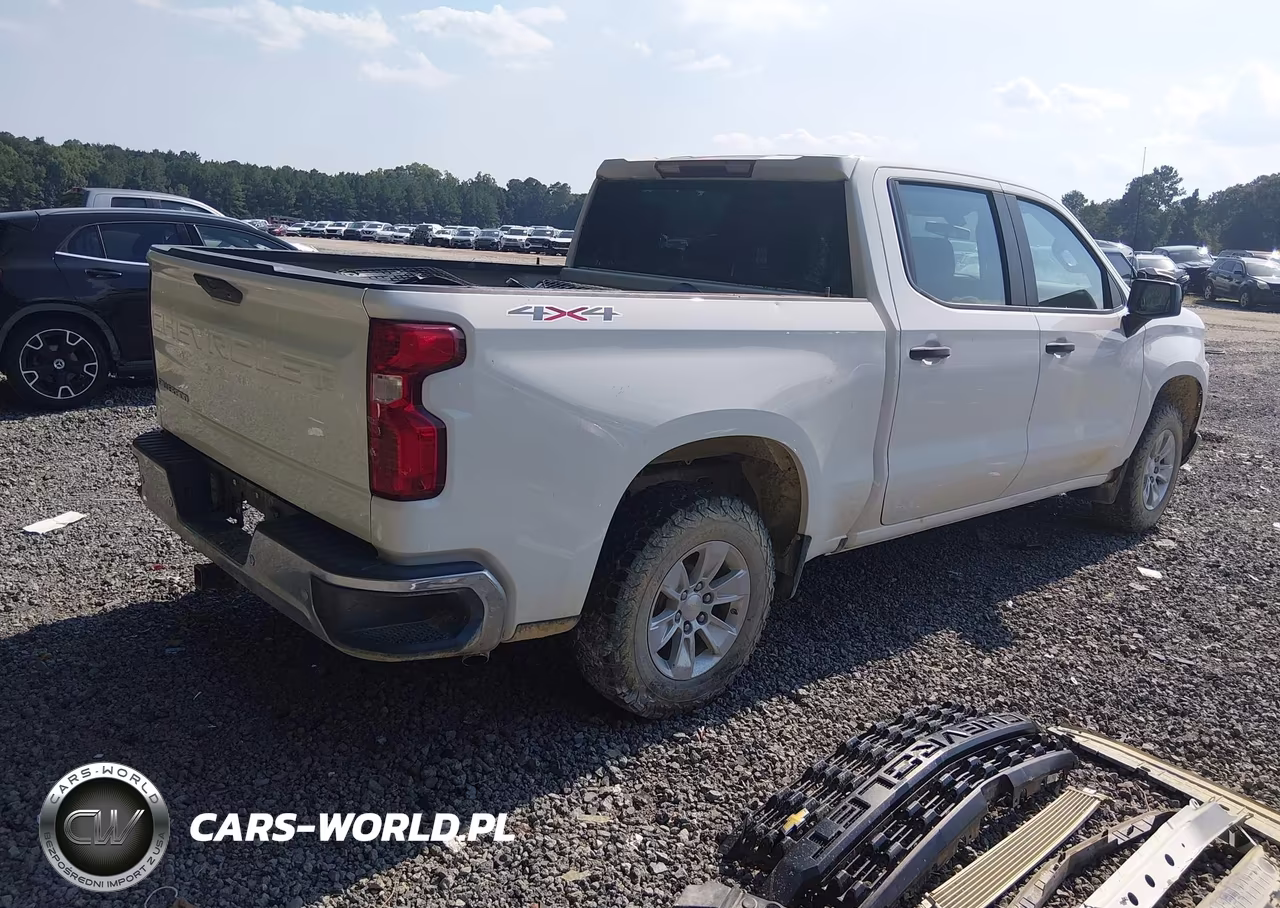 2020 Chevrolet Silverado 1500 4Wd Short Bed Wt VIN:1GCUYAEF4LZ216558 - 4