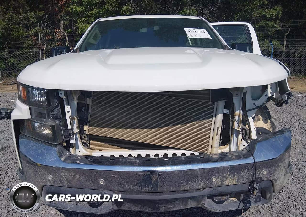 2020 Chevrolet Silverado 1500 4Wd Short Bed Wt VIN:1GCUYAEF4LZ216558 - 6