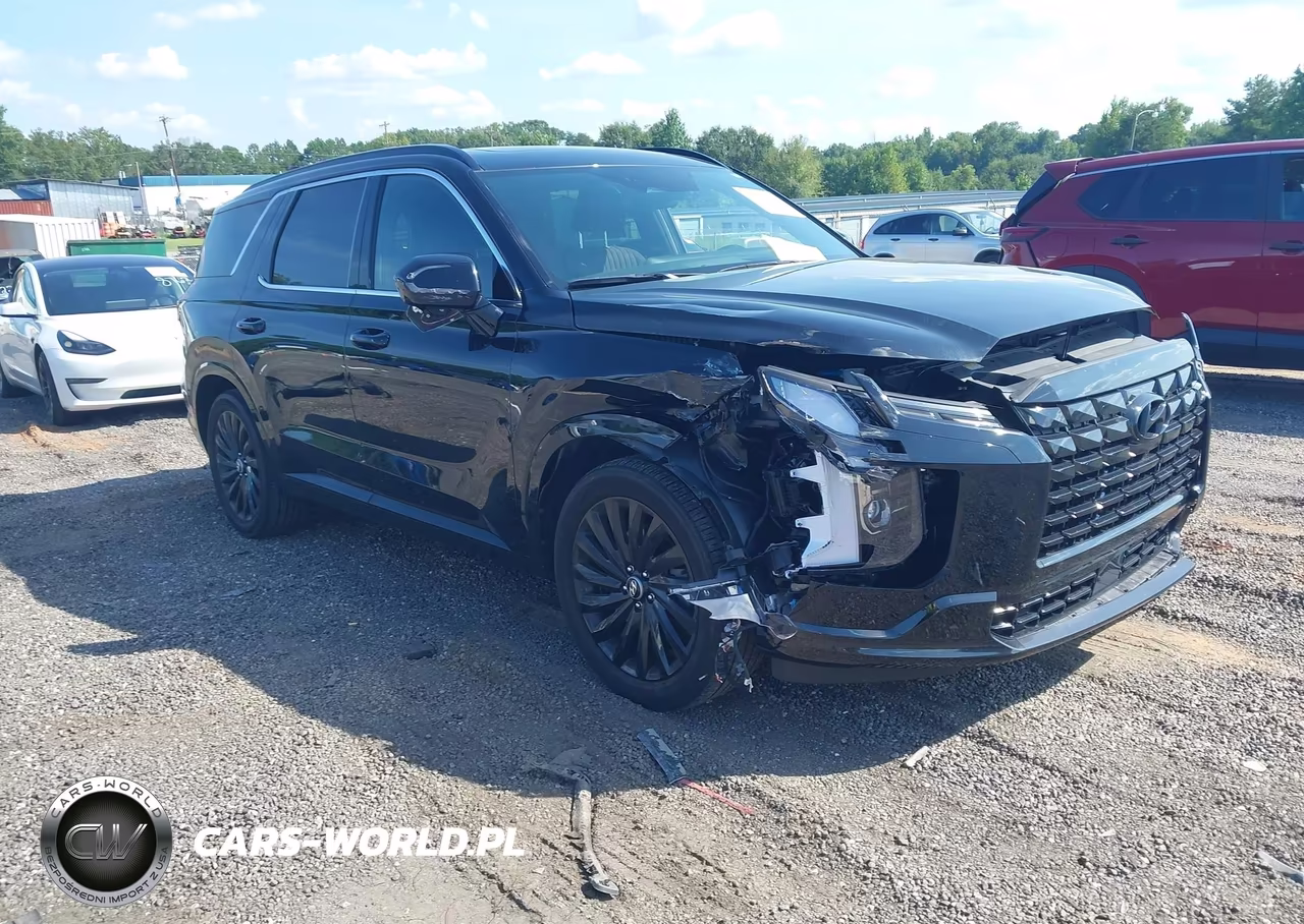 2025 Hyundai Palisade Calligraphy Night Edition VIN:KM8R7DGE0SU817729 - 1