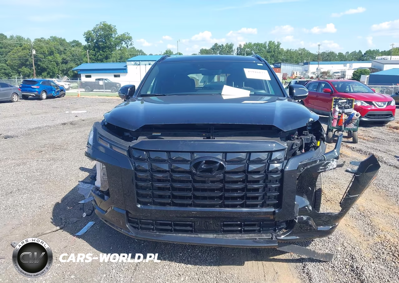 2025 Hyundai Palisade Calligraphy Night Edition VIN:KM8R7DGE0SU817729 - 13
