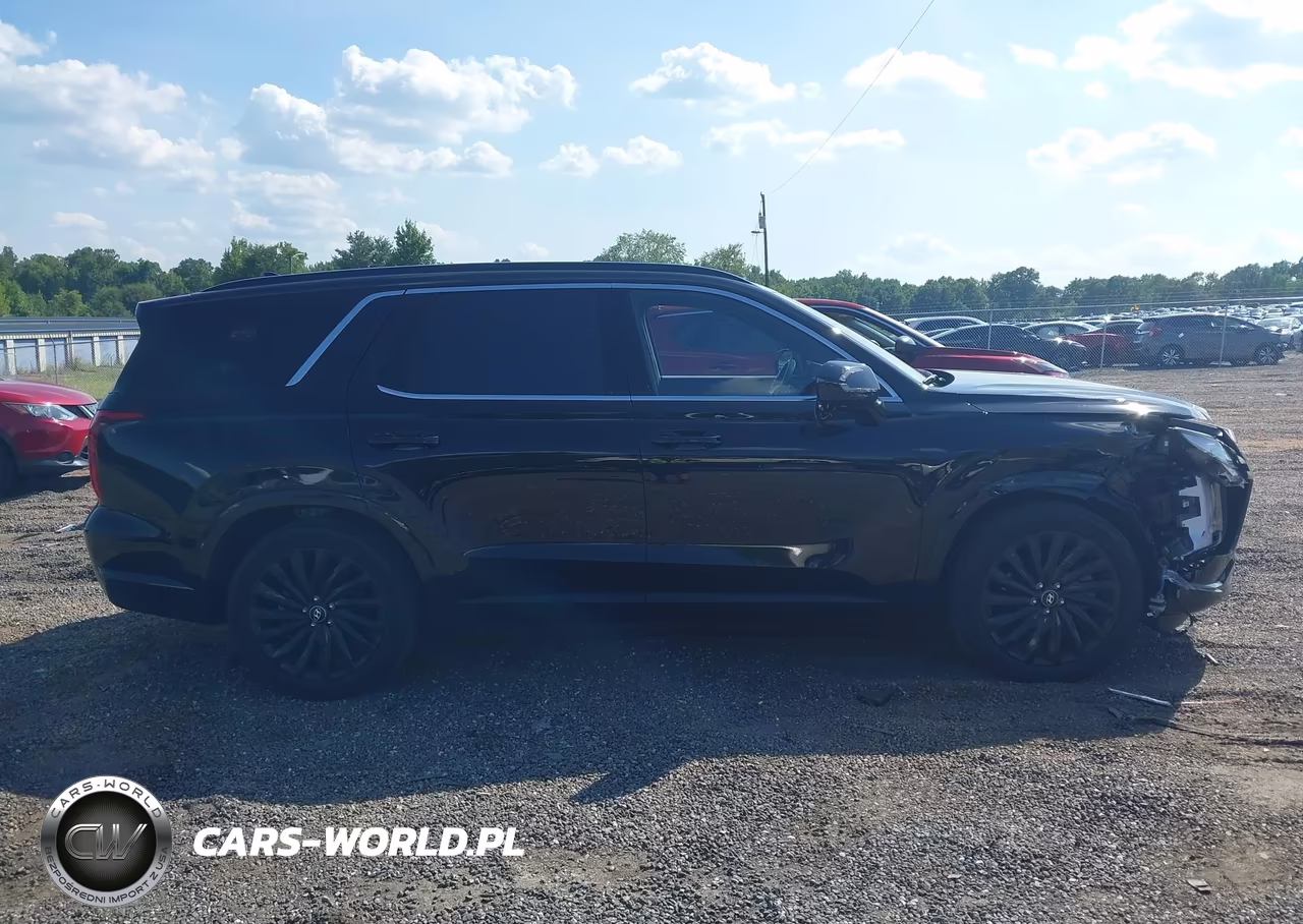 2025 Hyundai Palisade Calligraphy Night Edition VIN:KM8R7DGE0SU817729 - 14