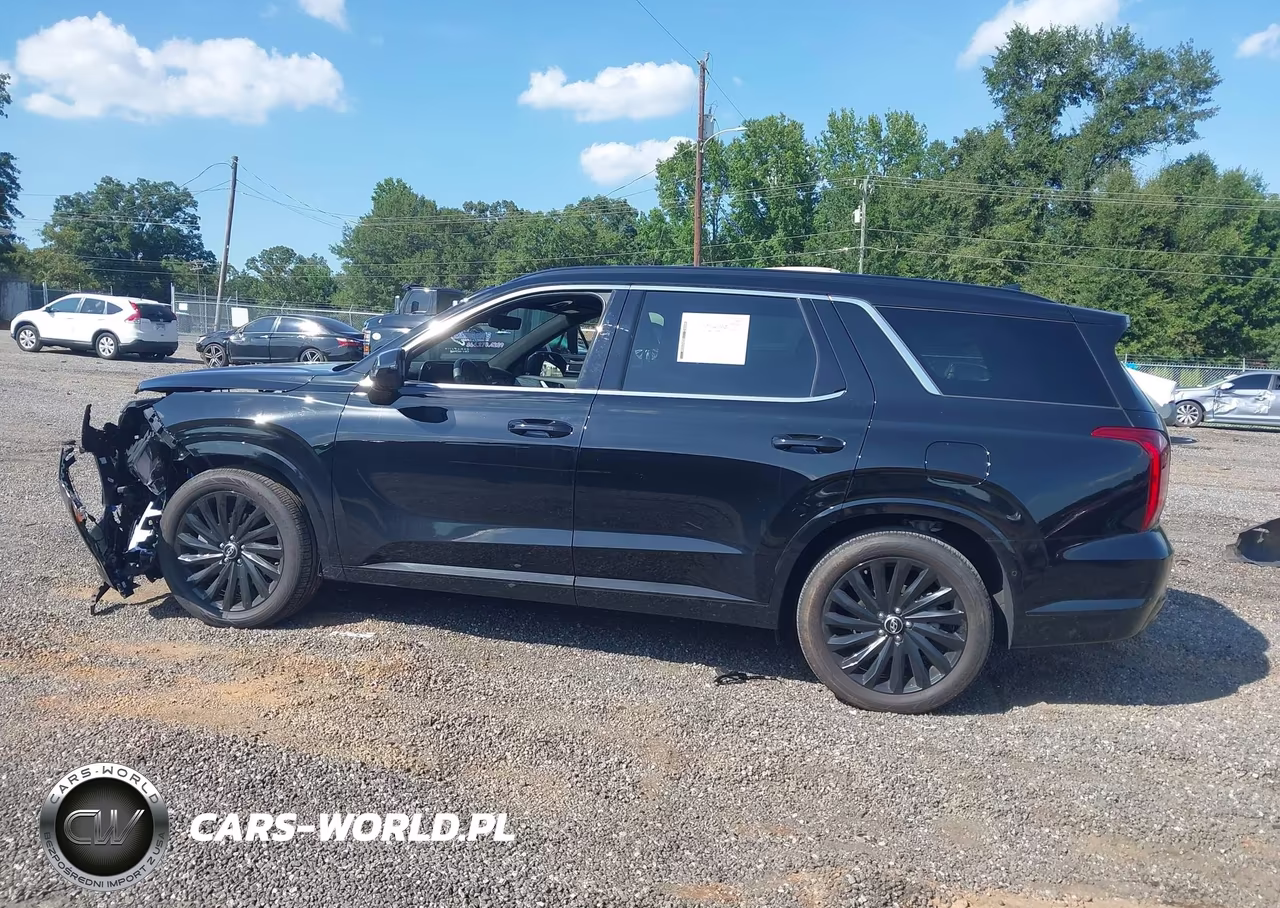 2025 Hyundai Palisade Calligraphy Night Edition VIN:KM8R7DGE0SU817729 - 15