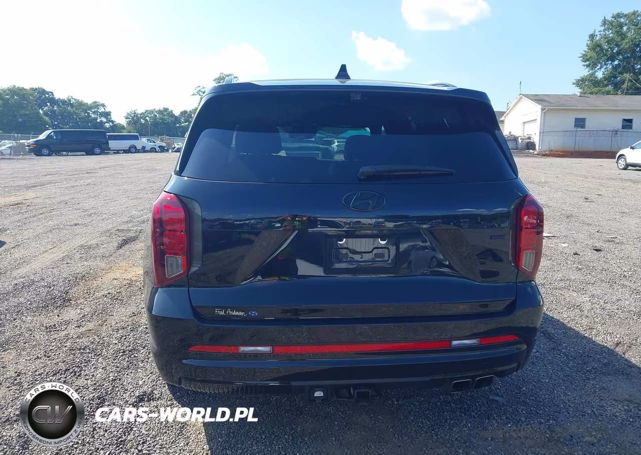 2025 Hyundai Palisade Calligraphy Night Edition VIN:KM8R7DGE0SU817729 - 17