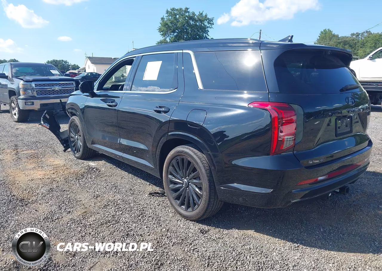 2025 Hyundai Palisade Calligraphy Night Edition VIN:KM8R7DGE0SU817729 - 3