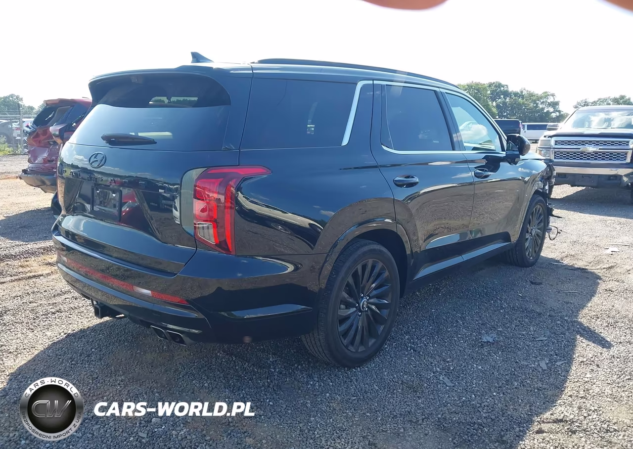 2025 Hyundai Palisade Calligraphy Night Edition VIN:KM8R7DGE0SU817729 - 4