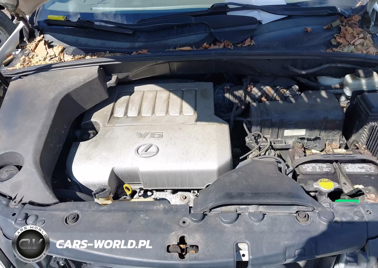 2009 Lexus Rx 350 VIN:2T2HK31U89C135175 - 10