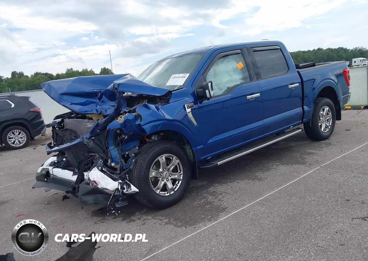 2023 Ford F-150 Xlt VIN:1FTFW1E5XPKE70800 - 2