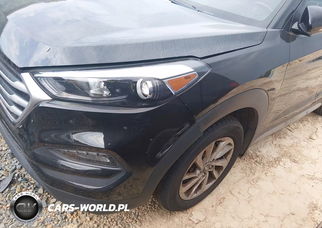 2017 Hyundai Tucson Se Plus VIN:KM8J3CA41HU409784 - 18