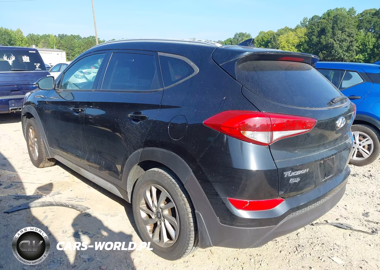 2017 Hyundai Tucson Se Plus VIN:KM8J3CA41HU409784 - 3