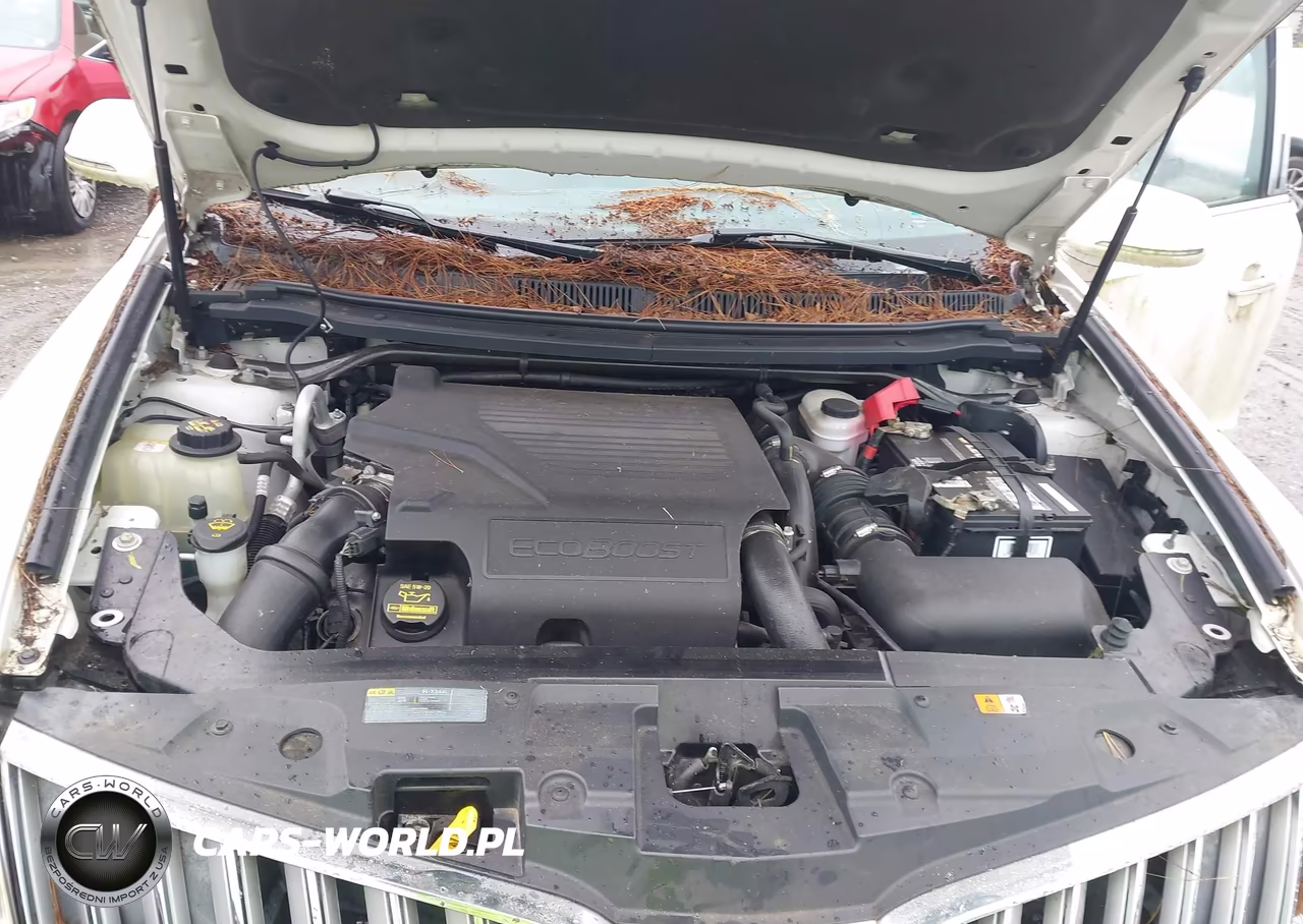 2010 Lincoln Mkt Ecoboost VIN:2LMHJ5AT0ABJ25974 - 10