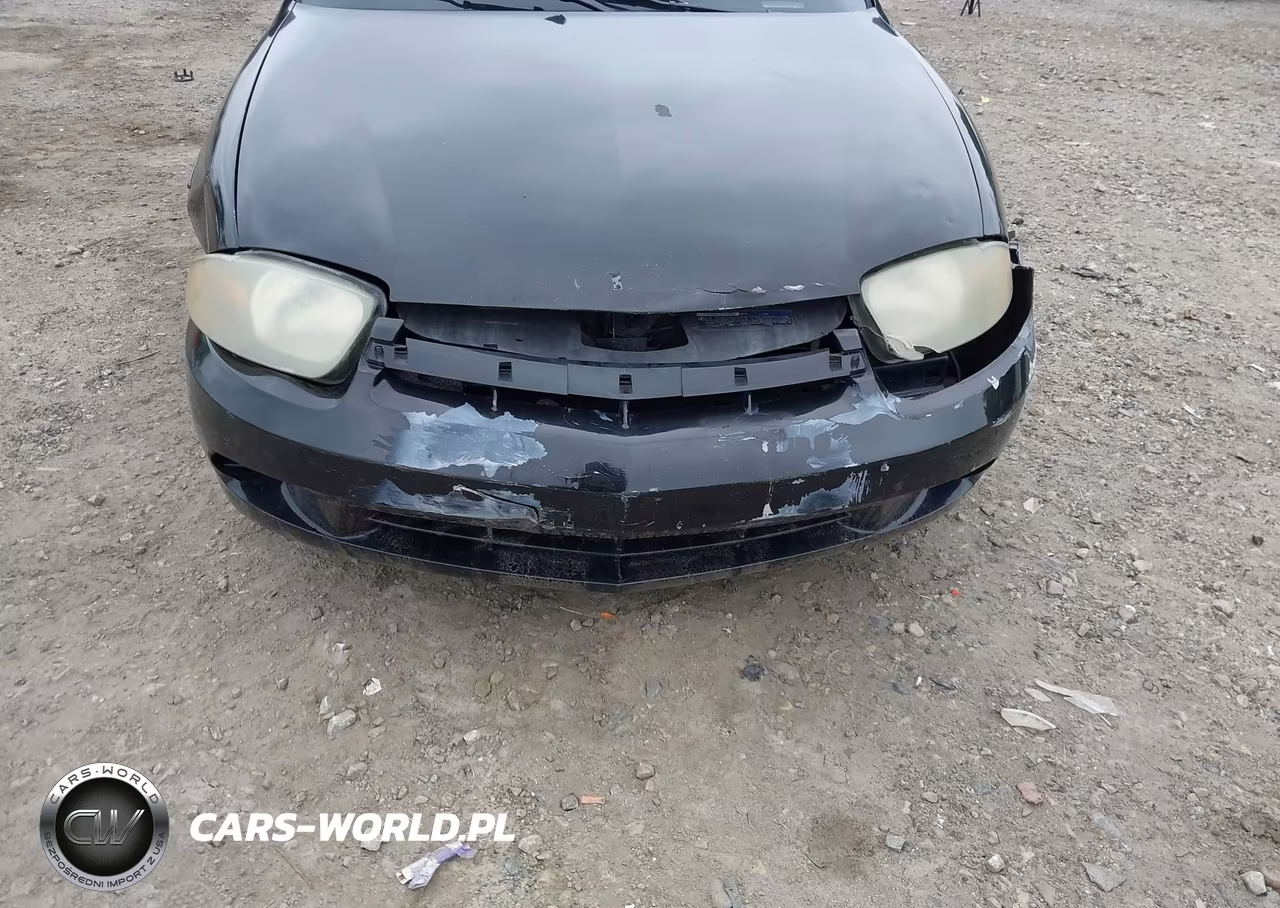 2004 Chevrolet Cavalier VIN:1G1JC52F647175658 - 13