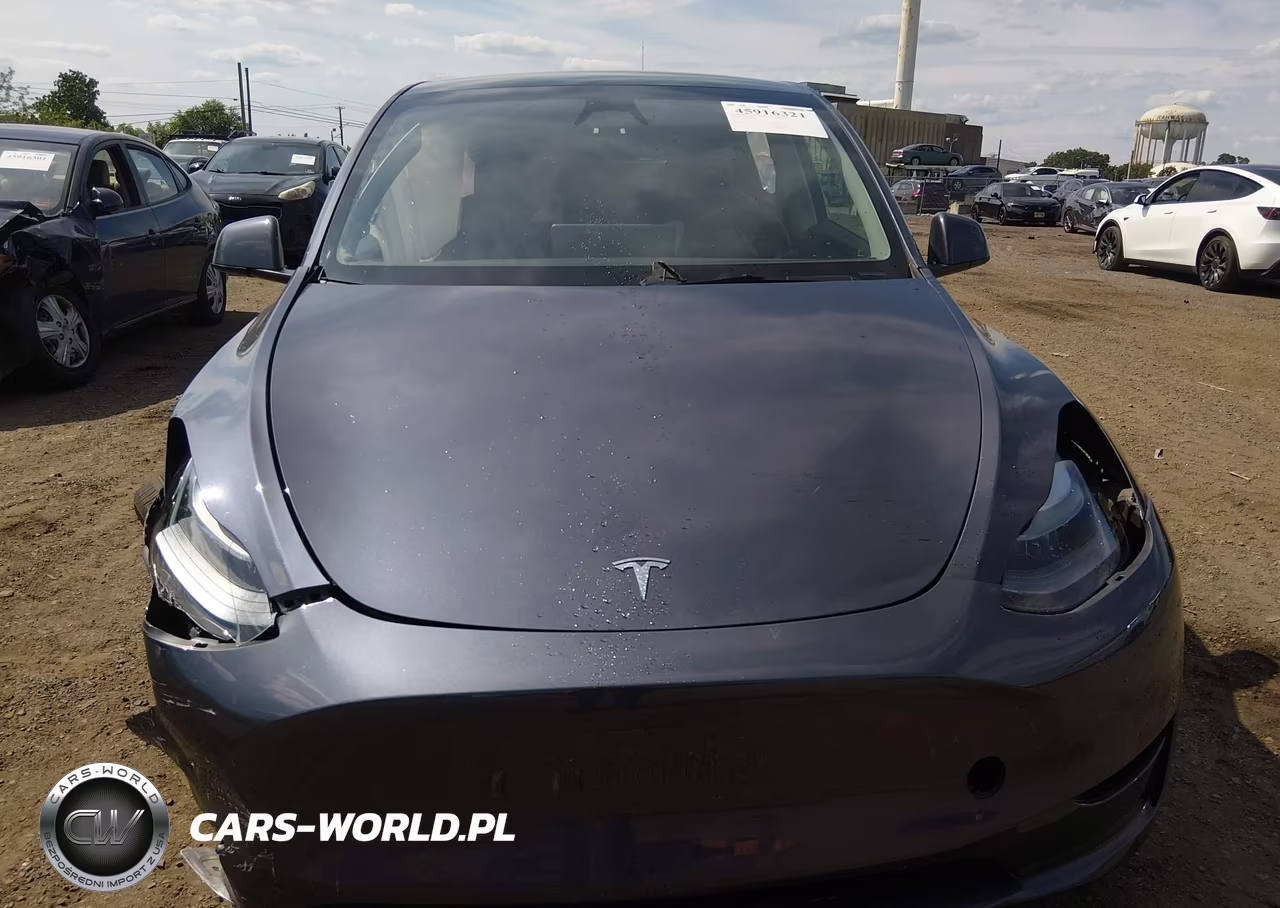 2023 Tesla Model Y Awd-Long Range Dual Motor All-Wheel Drive VIN:7SAYGDEE8PF799499 - 10
