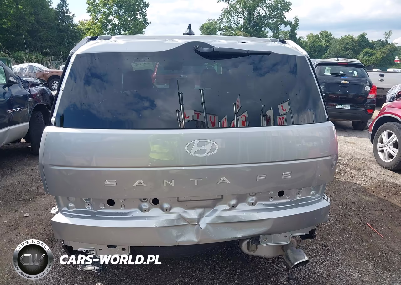 2025 Hyundai Santa Fe Se VIN:5NMP14GL0SH113081 - 6
