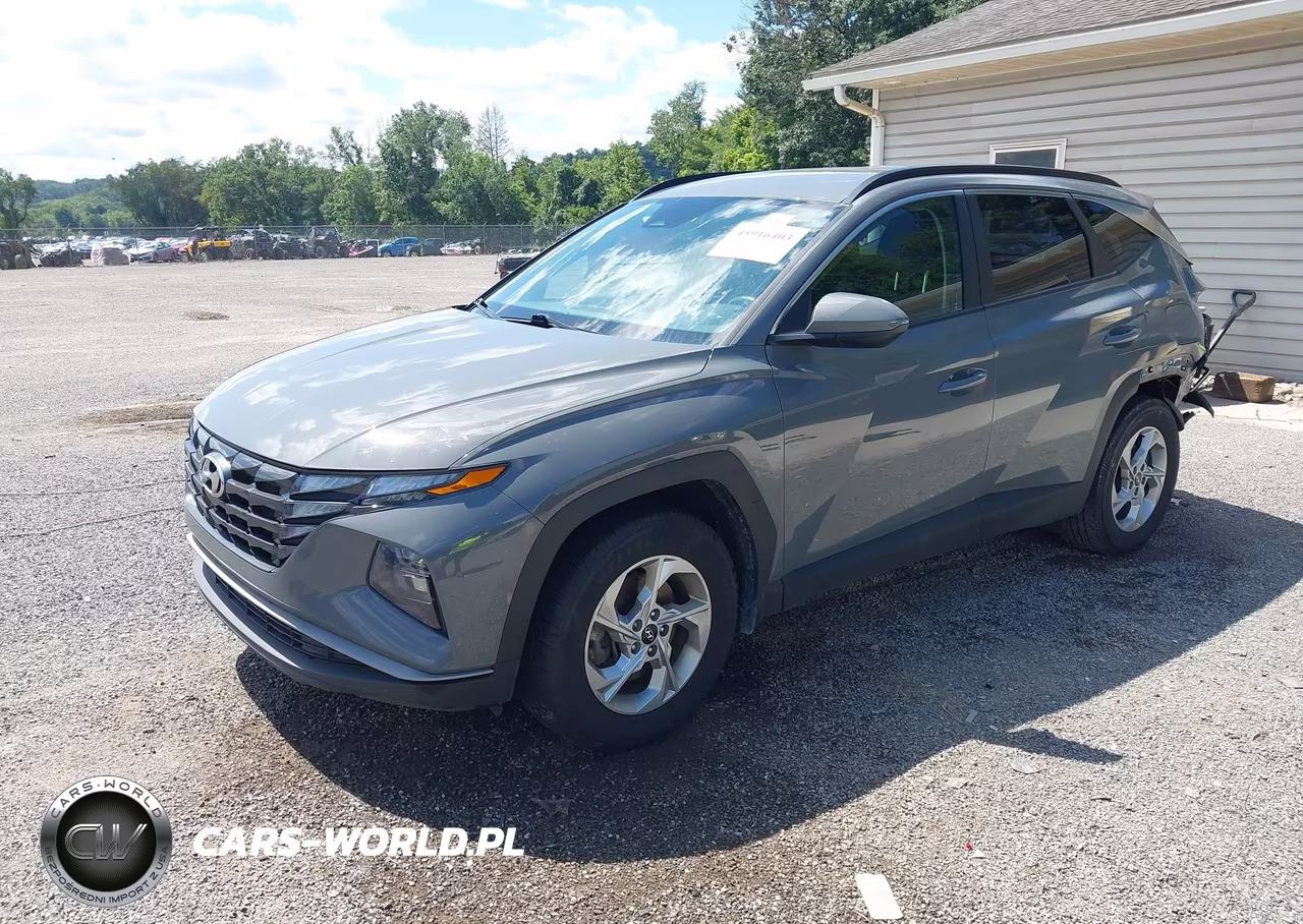 2024 Hyundai Tucson Sel VIN:5NMJB3DE5RH391164 - 2