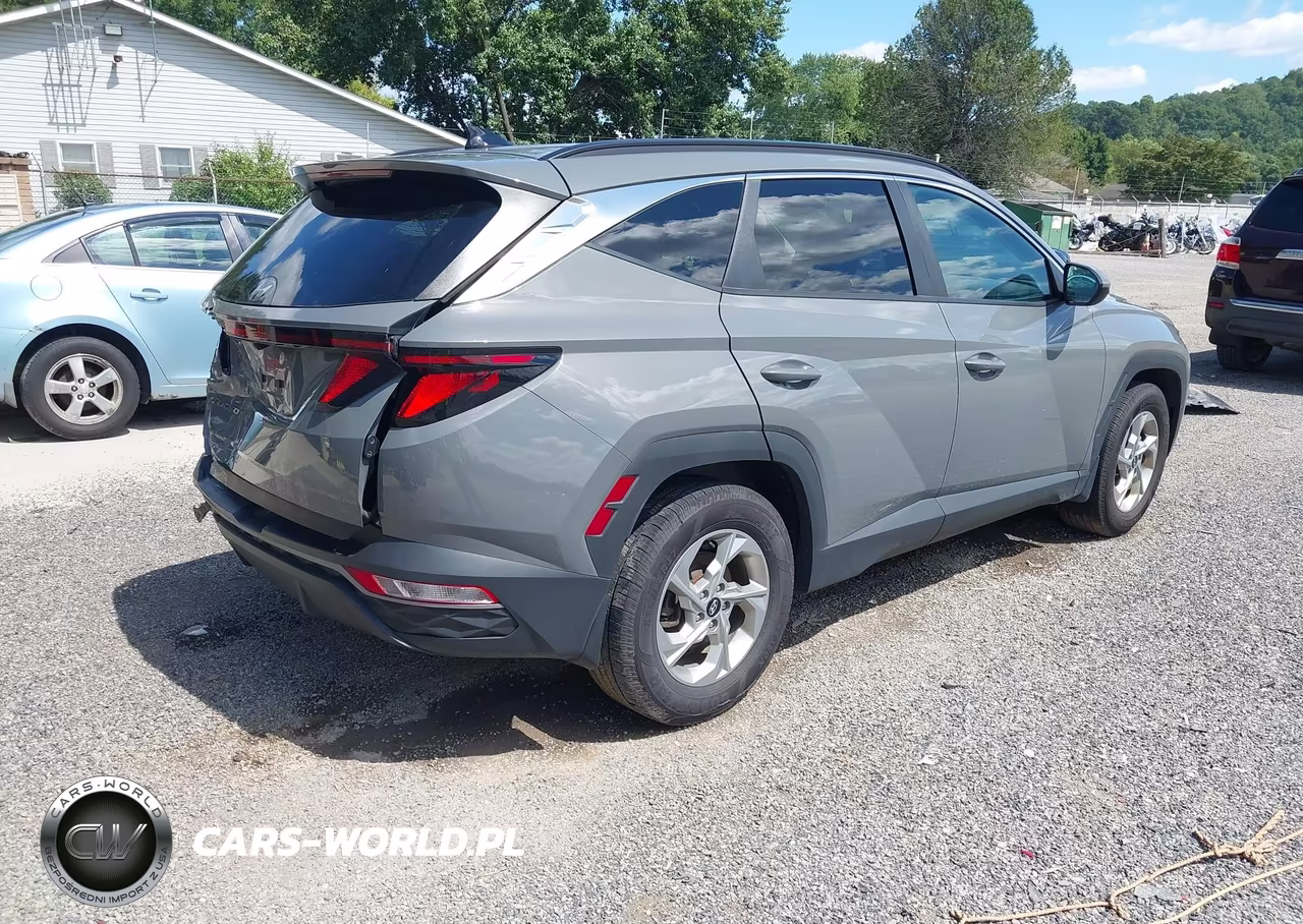 2024 Hyundai Tucson Sel VIN:5NMJB3DE5RH391164 - 4