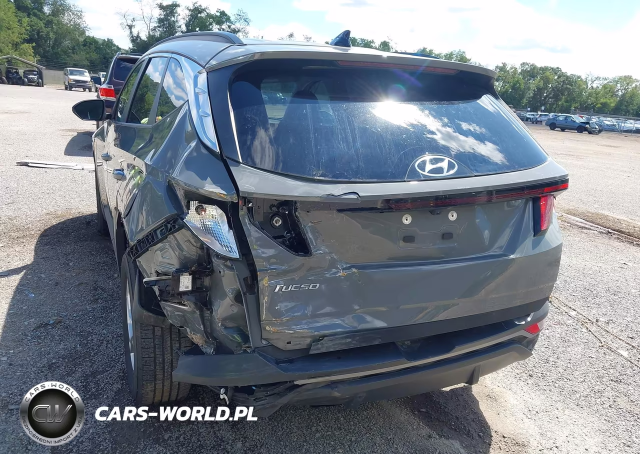 2024 Hyundai Tucson Sel VIN:5NMJB3DE5RH391164 - 6