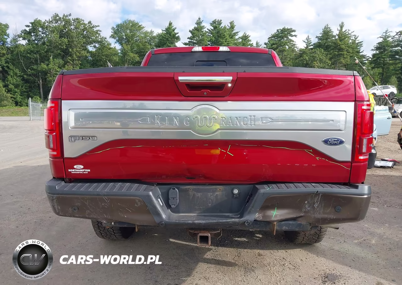 2016 Ford F-150 King Ranch VIN:1FTEW1EG9GFA49270 - 16
