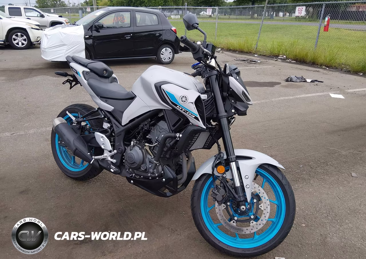 2025 Yamaha Mtn320 A