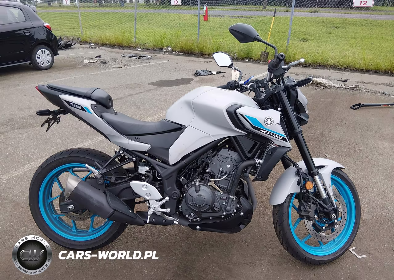 2025 Yamaha Mtn320 A VIN:MH3RH28E1SK003137 - 12
