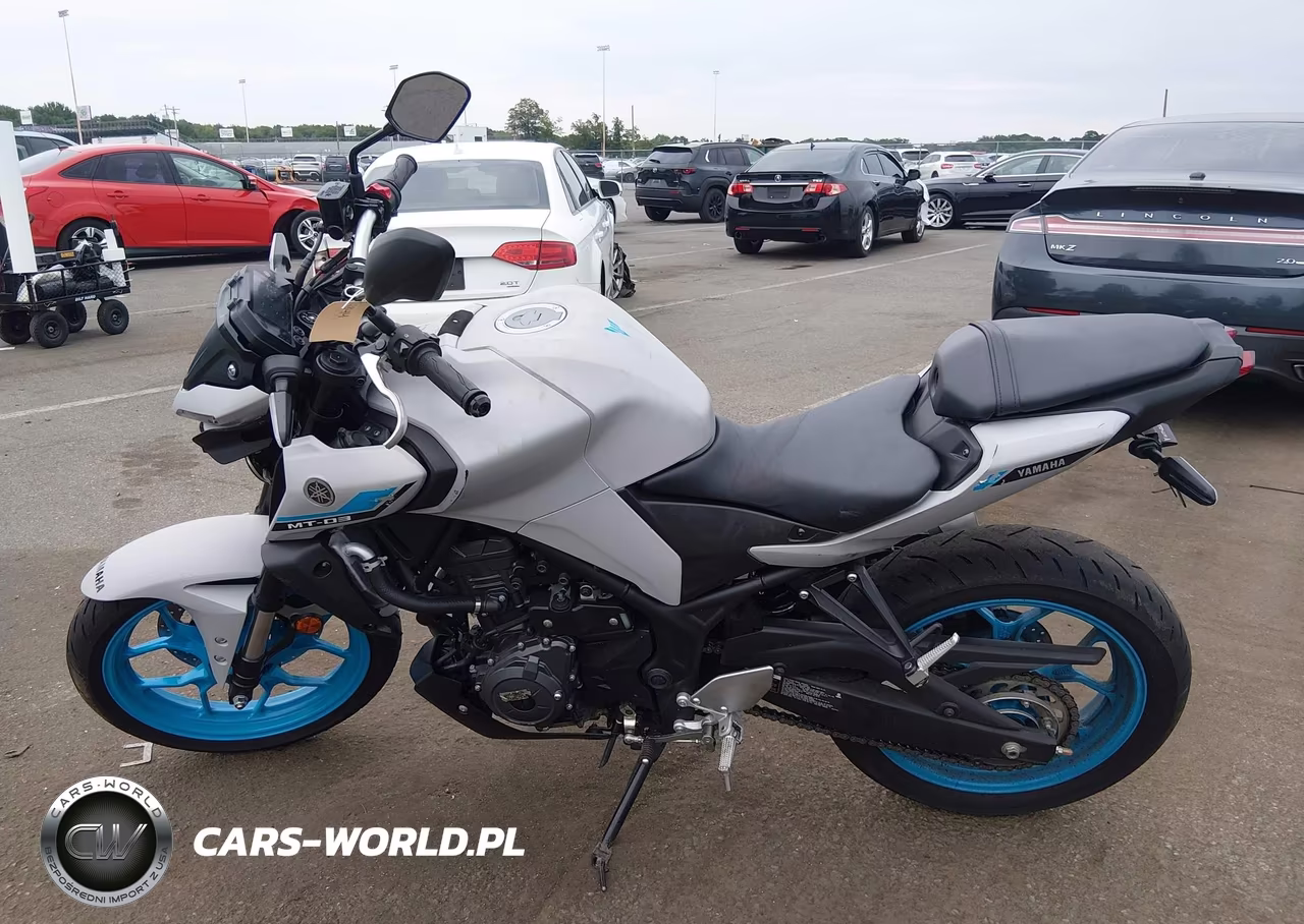 2025 Yamaha Mtn320 A VIN:MH3RH28E1SK003137 - 13