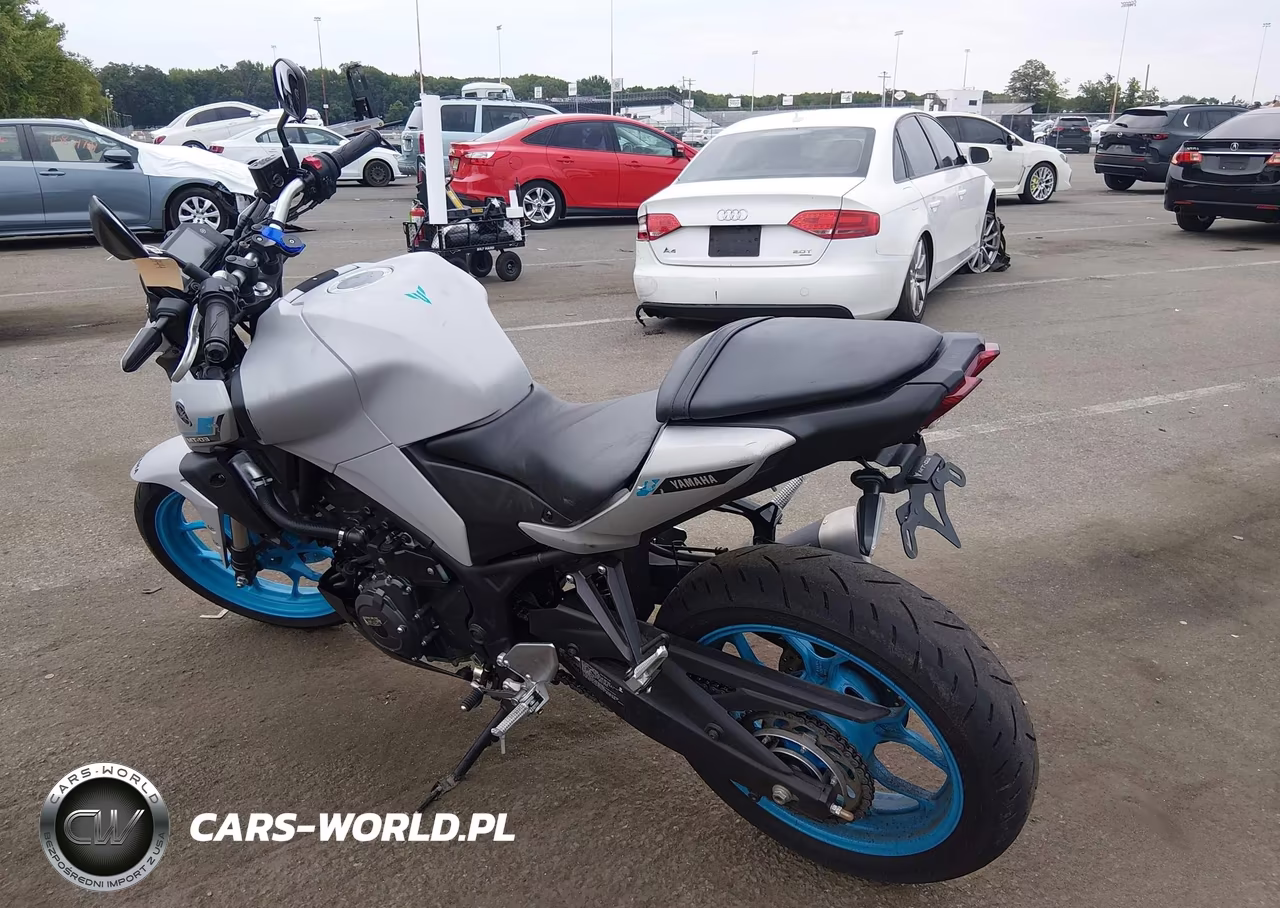 2025 Yamaha Mtn320 A VIN:MH3RH28E1SK003137 - 3