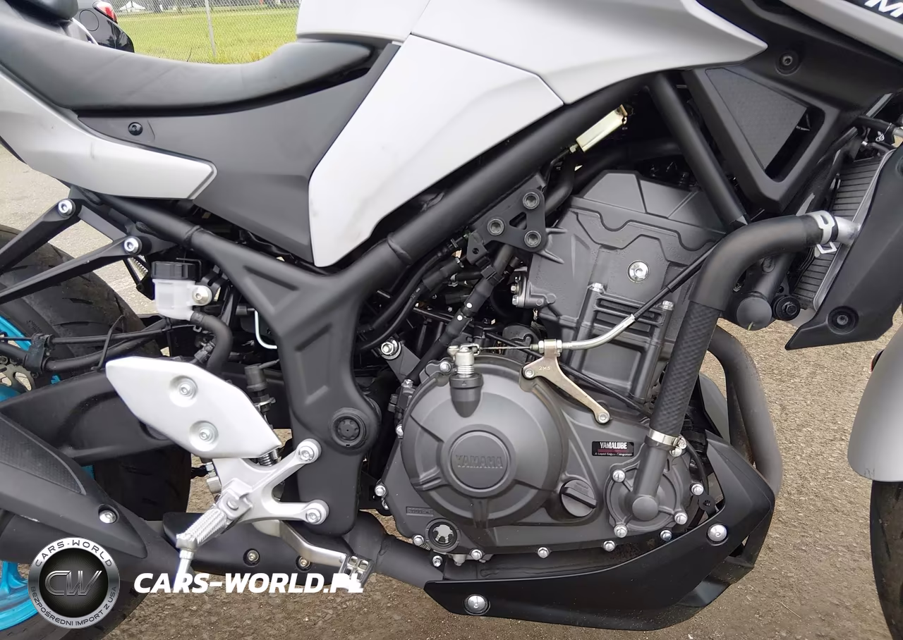 2025 Yamaha Mtn320 A VIN:MH3RH28E1SK003137 - 8
