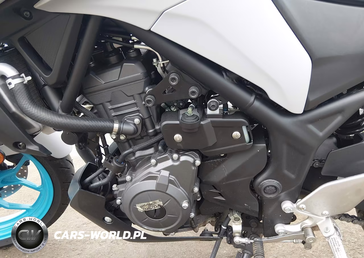2025 Yamaha Mtn320 A VIN:MH3RH28E1SK003137 - 9
