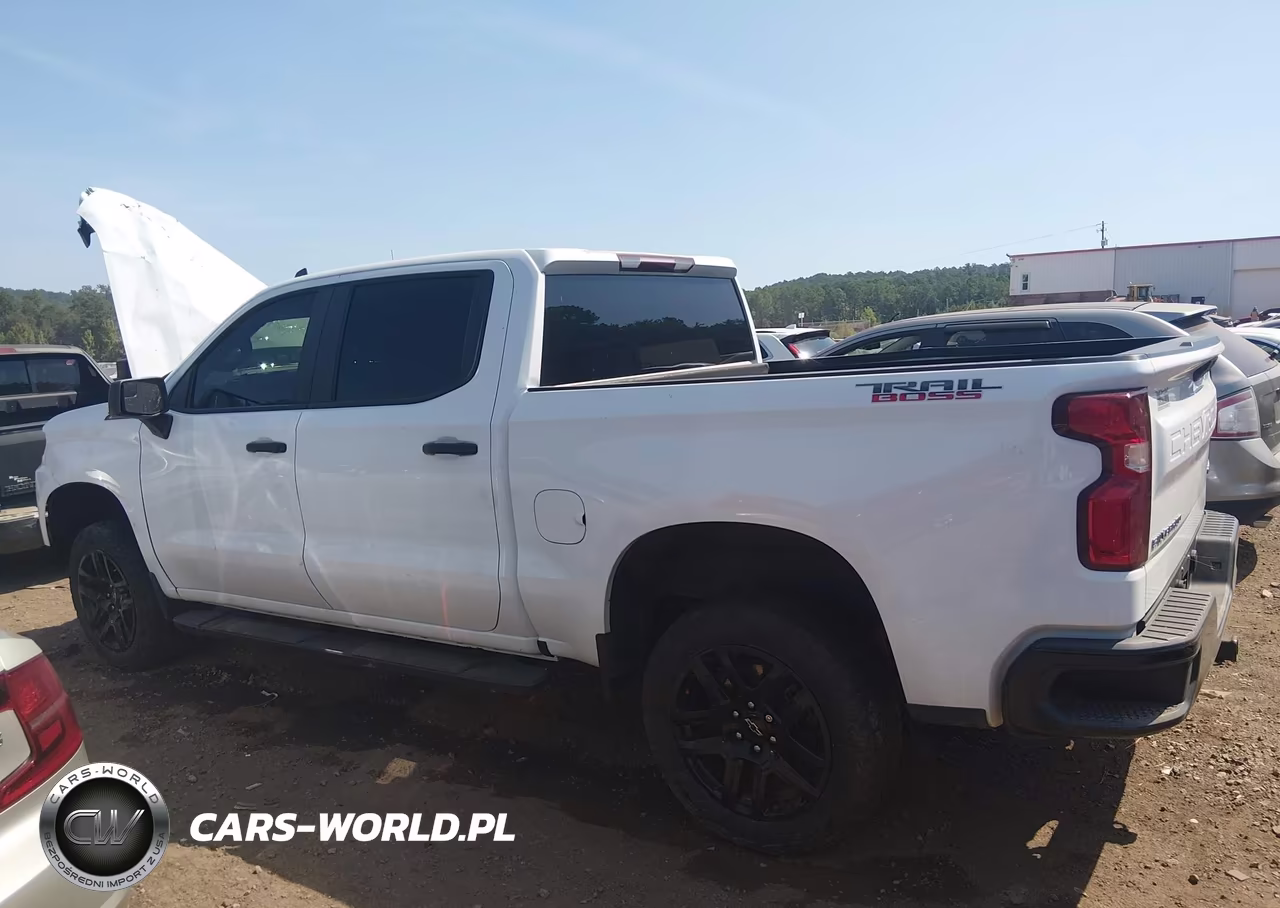 2021 Chevrolet Silverado 1500 4Wd Short Bed Custom Trail Boss VIN:1GCPYCEF0MZ414290 - 15