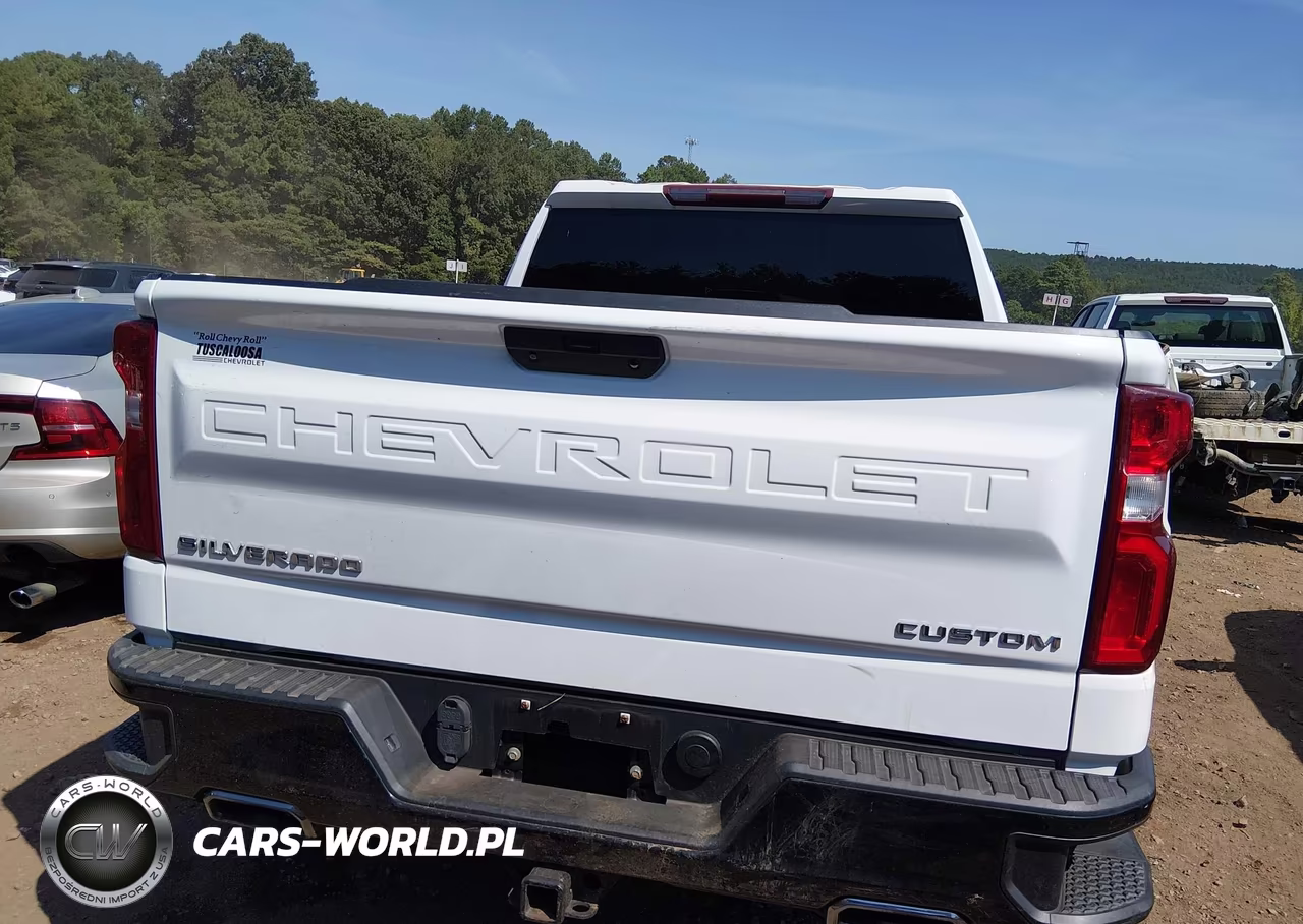 2021 Chevrolet Silverado 1500 4Wd Short Bed Custom Trail Boss VIN:1GCPYCEF0MZ414290 - 17