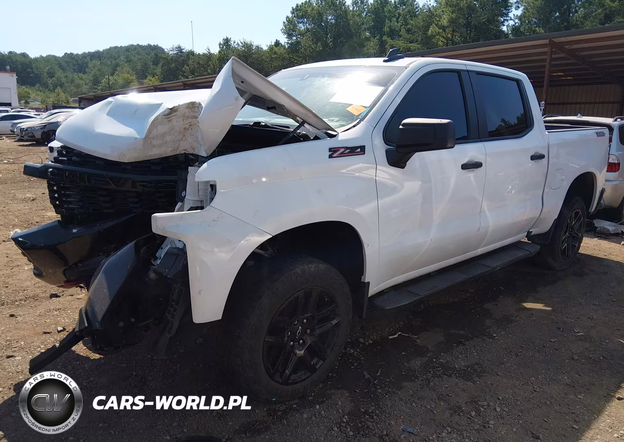 2021 Chevrolet Silverado 1500 4Wd Short Bed Custom Trail Boss VIN:1GCPYCEF0MZ414290 - 2
