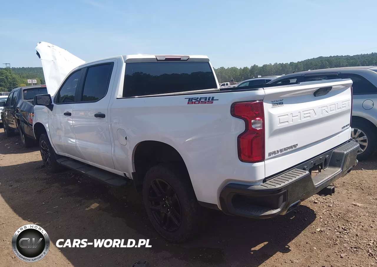 2021 Chevrolet Silverado 1500 4Wd Short Bed Custom Trail Boss VIN:1GCPYCEF0MZ414290 - 3