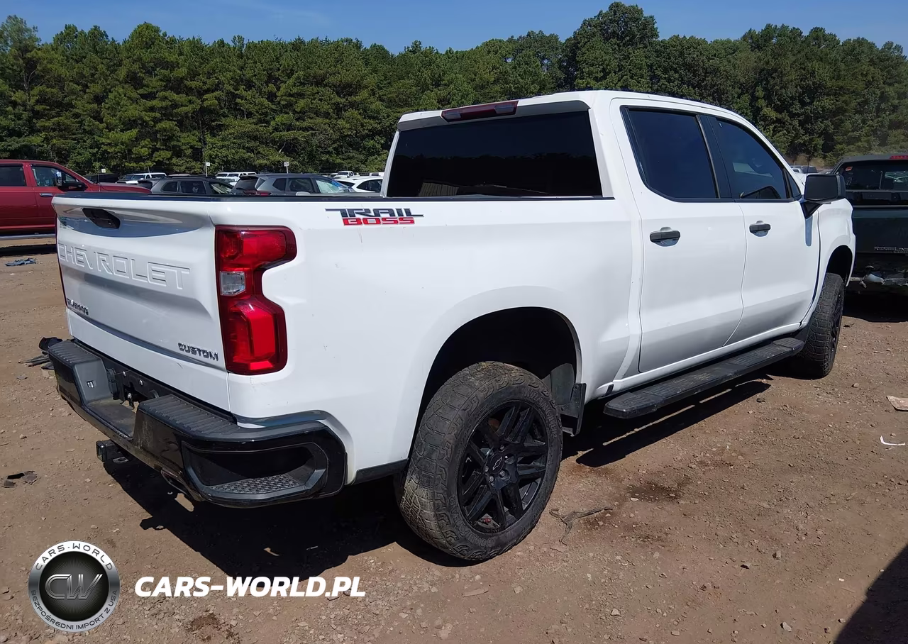 2021 Chevrolet Silverado 1500 4Wd Short Bed Custom Trail Boss VIN:1GCPYCEF0MZ414290 - 4