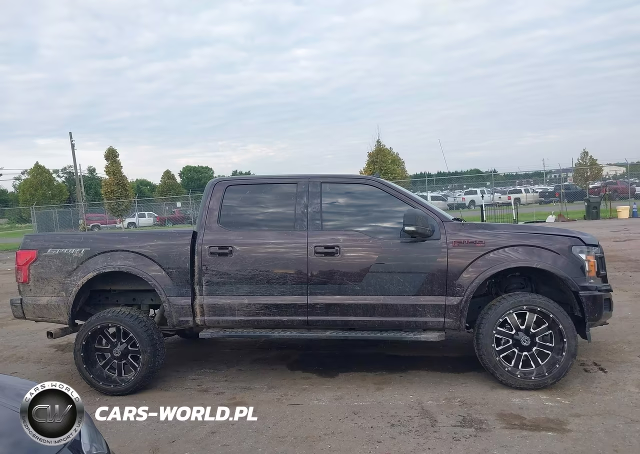 2019 Ford F-150 Xlt VIN:1FTEW1EP7KFA58476 - 13