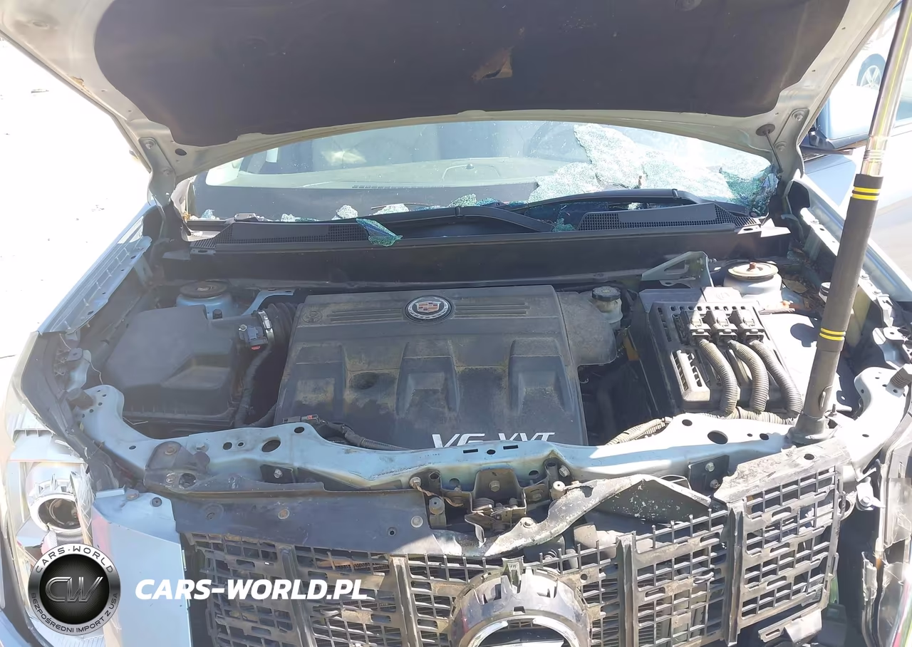 2013 Cadillac Srx Standard VIN:3GYFNAE37DS527983 - 10