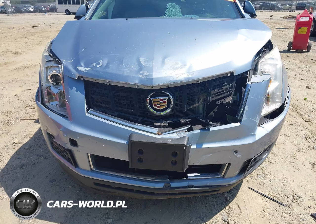 2013 Cadillac Srx Standard VIN:3GYFNAE37DS527983 - 6