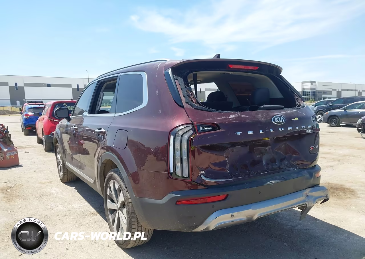2020 Kia Telluride S VIN:5XYP64HC8LG024158 - 3