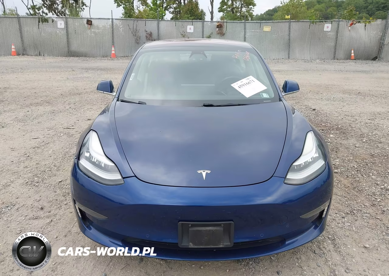 2019 Tesla Model 3 Long Range-Mid Range-Standard Range-Standard Range Plus VIN:5YJ3E1EA8KF299649 - 11