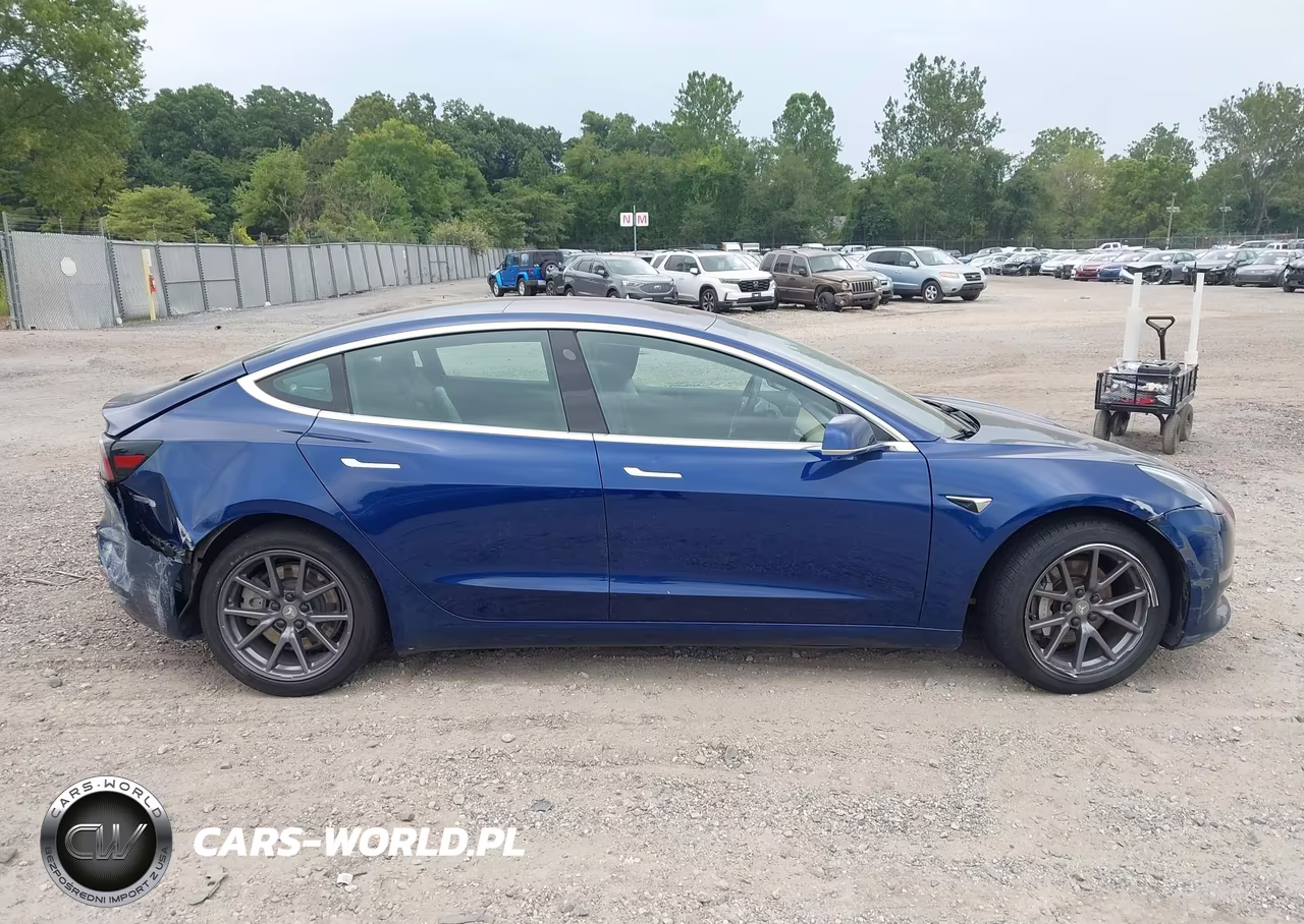 2019 Tesla Model 3 Long Range-Mid Range-Standard Range-Standard Range Plus VIN:5YJ3E1EA8KF299649 - 12