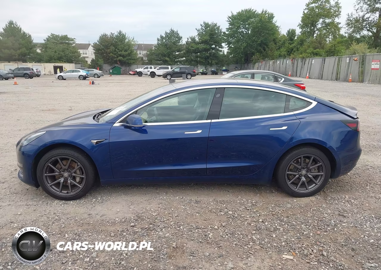 2019 Tesla Model 3 Long Range-Mid Range-Standard Range-Standard Range Plus VIN:5YJ3E1EA8KF299649 - 13