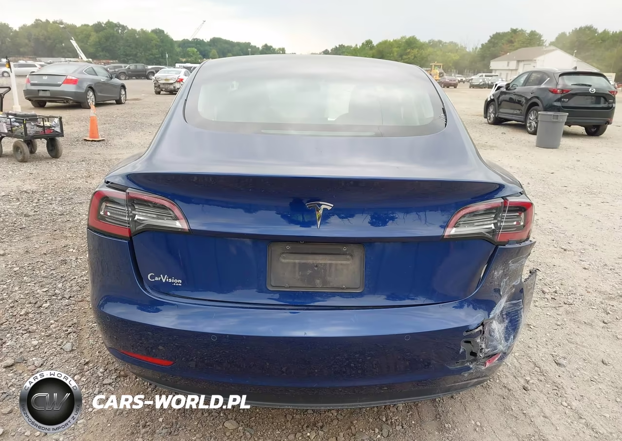 2019 Tesla Model 3 Long Range-Mid Range-Standard Range-Standard Range Plus VIN:5YJ3E1EA8KF299649 - 15