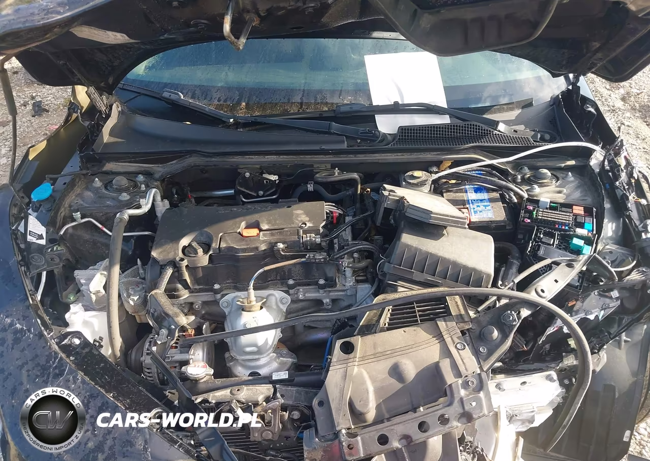 2024 Honda Civic Sport VIN:2HGFE2F53RH554525 - 10