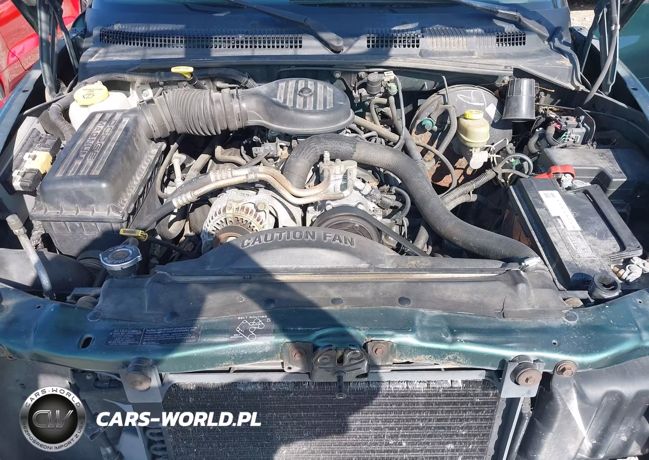 1998 Dodge Dakota Slt-Sport VIN:1B7GL22Y3WS648739 - 10