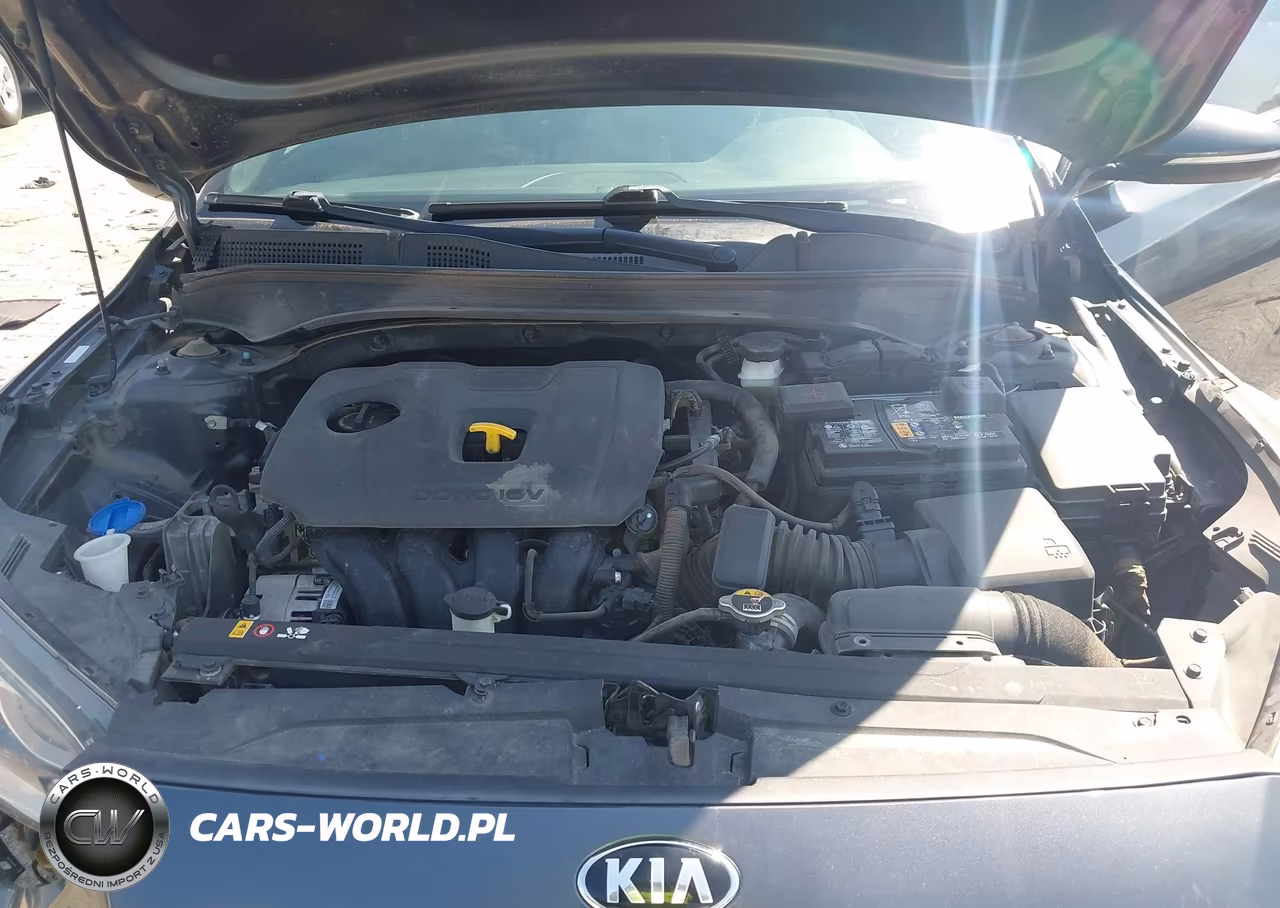 2019 Kia Forte Ex VIN:3KPF54AD3KE028003 - 10