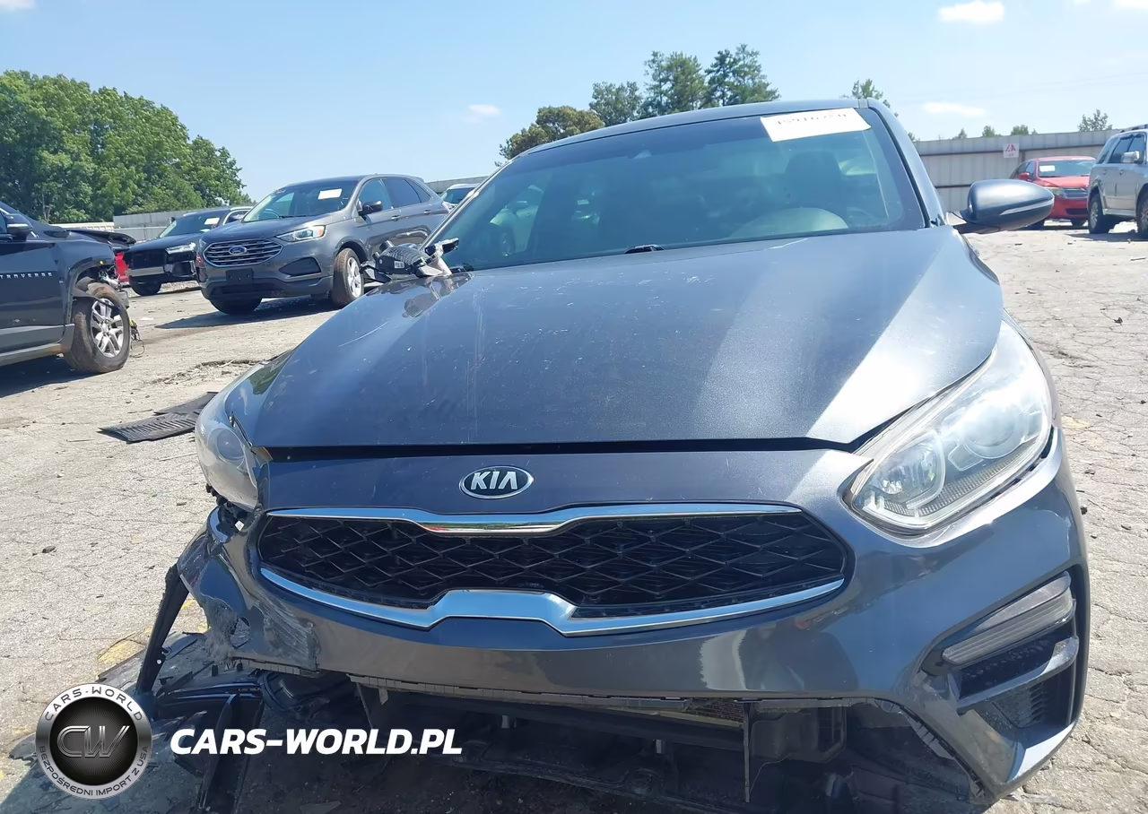 2019 Kia Forte Ex VIN:3KPF54AD3KE028003 - 12
