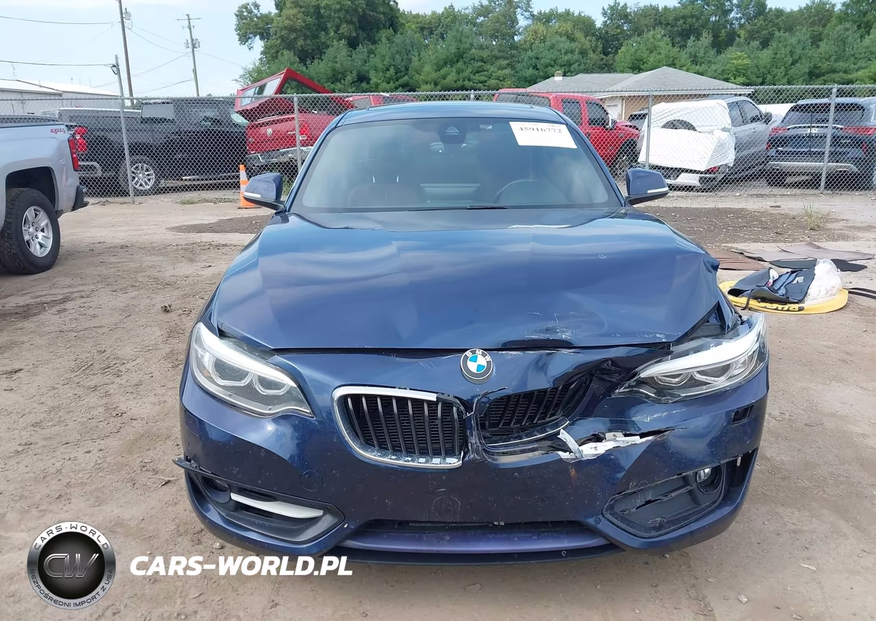 2016 BMW 228I xDrive VIN:WBA1G9C57GVX97126 - 13