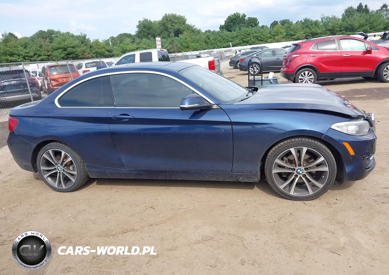 2016 BMW 228I xDrive VIN:WBA1G9C57GVX97126 - 14