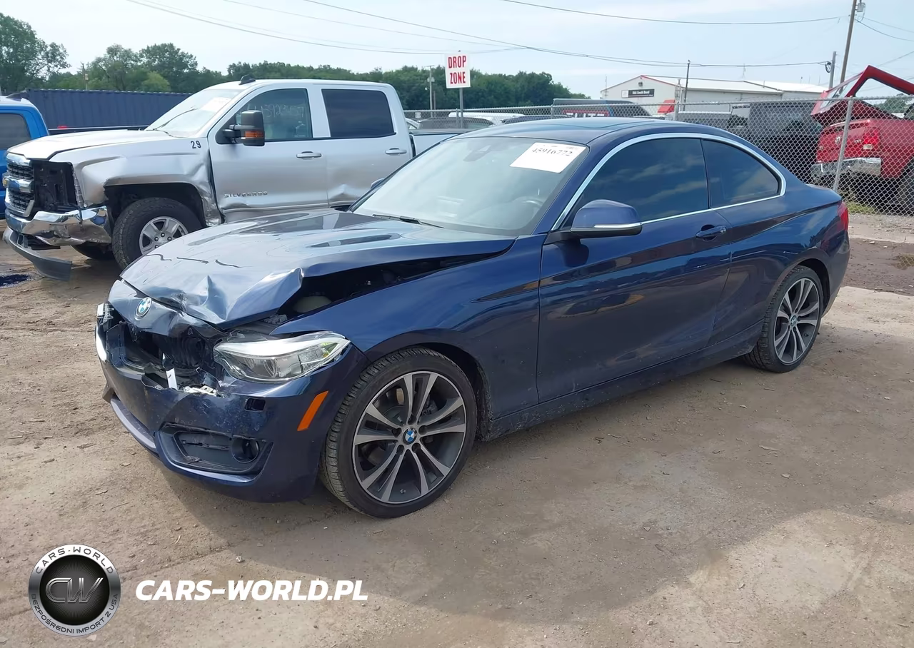 2016 BMW 228I xDrive VIN:WBA1G9C57GVX97126 - 2
