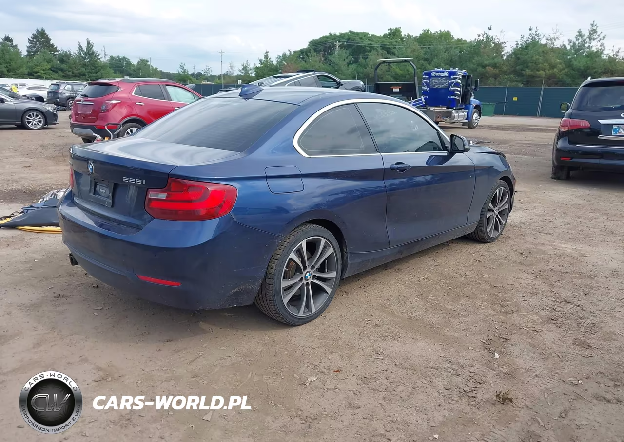 2016 BMW 228I xDrive VIN:WBA1G9C57GVX97126 - 4