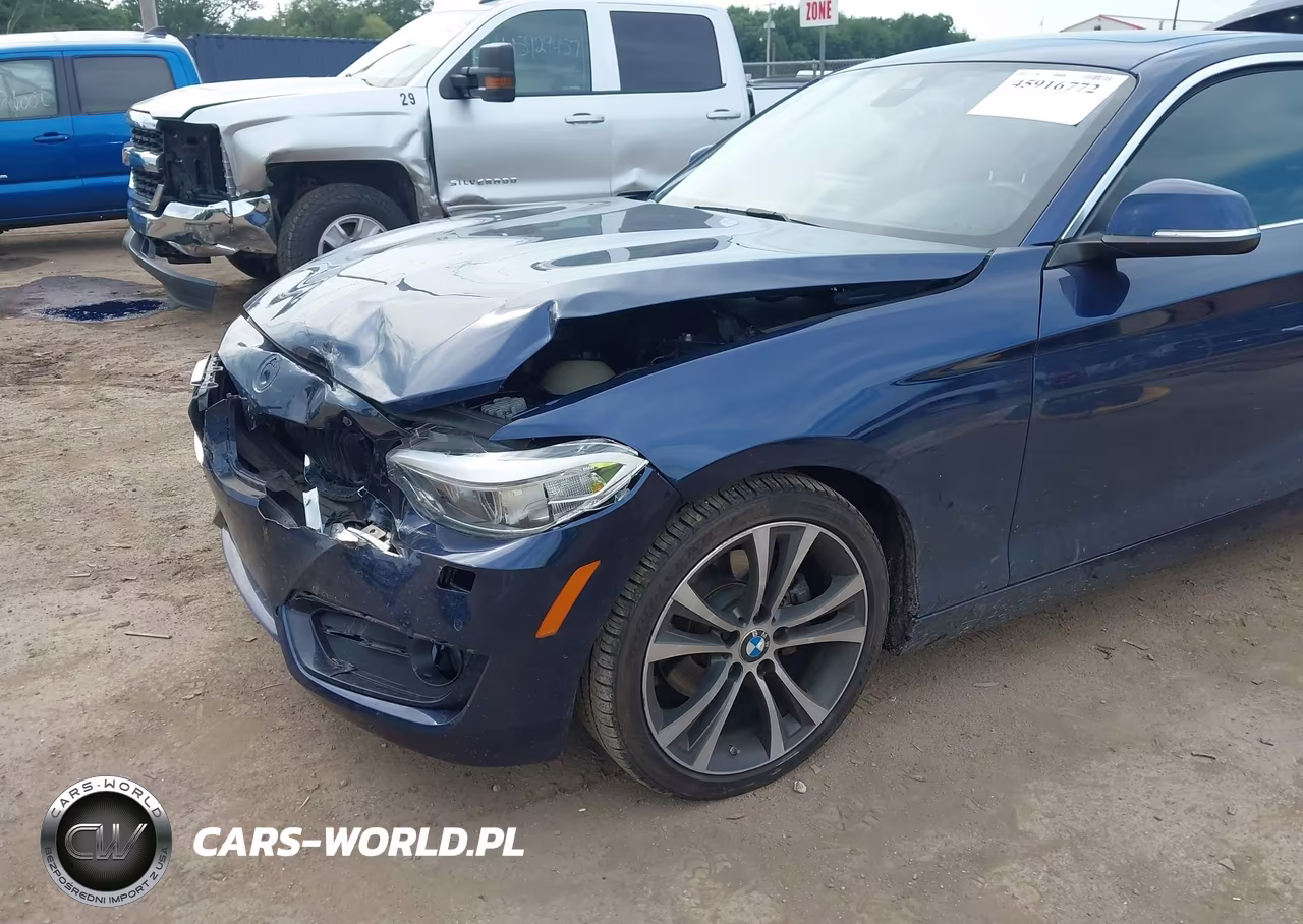 2016 BMW 228I xDrive VIN:WBA1G9C57GVX97126 - 6