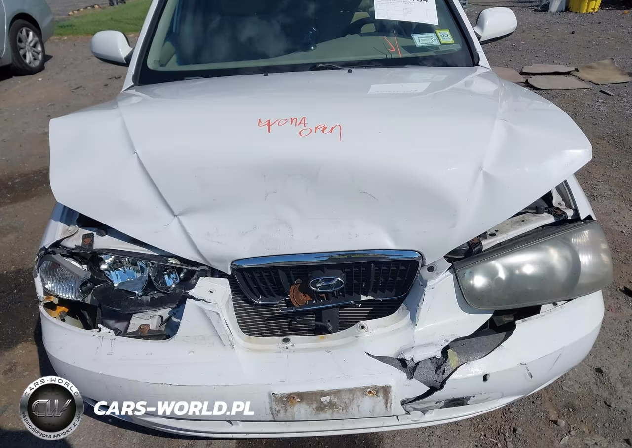 2002 Hyundai Elantra Gls VIN:KMHDN45DX2U436027 - 6
